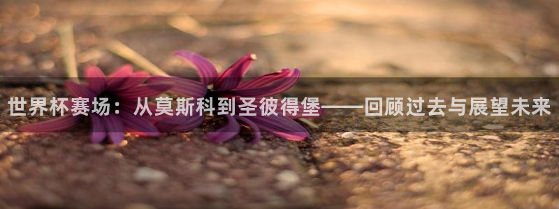2026世界杯直播免费观看:世界杯赛场:从莫斯科到圣彼得堡——回顾过去与展望未来