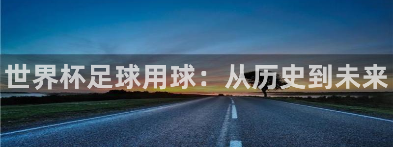 世界杯预选赛欧洲区赛程:世界杯足球用球:从历史到未来