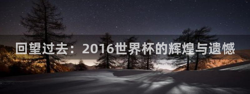 2026世界杯足球赛程时间表:回望过去:2016世界杯的辉煌与遗憾