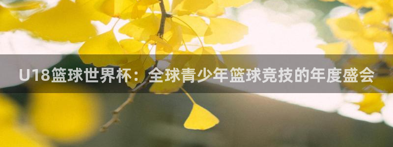 世界杯预选赛欧洲区赛程:U18篮球世界杯:全球青少年篮球竞技的年度盛会