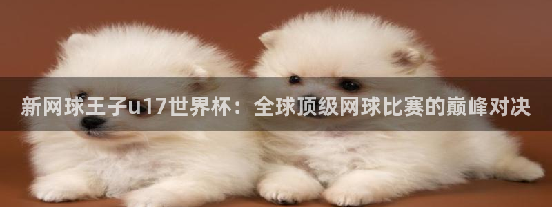 美洲杯直播:新网球王子u17世界杯:全球顶级网球比赛的巅峰对决