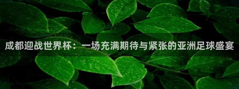 2026世界杯直播免费观看:成都迎战世界杯:一场充满期待与紧张的亚洲足球盛宴