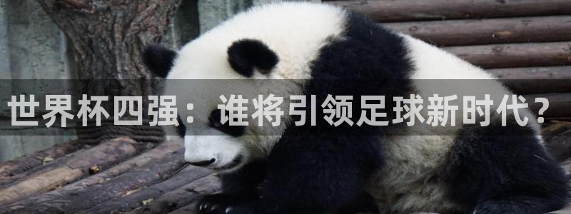 2026足球世界杯赛程时间表:世界杯四强:谁将引领足球新时代?